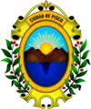 Coat of arms of Pisco