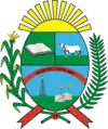 Official seal of Santa Ana Municipality