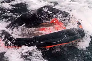 One of Estonia's inflatable life rafts, filled with water