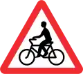 Bicycle crossing