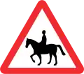 Equestrian crossing