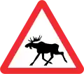 Animals for moose