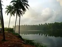 Estuary in Paravur Thekkumbhagam