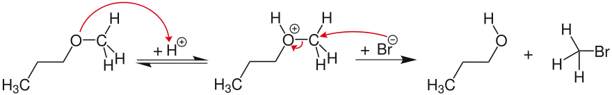 Concerted acidic ether cleavage