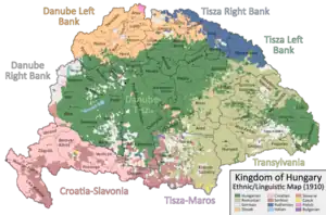 Ethnic Map of Hungary 1910 with Counties