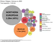 Ethnic origins in Arizona