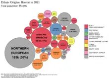 Image 63Packed circles diagram showing estimates of the ethnic origins of people in Boston in 2021 (from Boston)