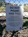 Conservation sign adjacent to Victoria Park specimen