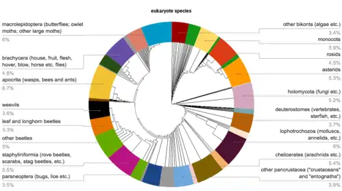 Image 2A pie chart of described eukaryote species, showing just over half of these to be insects (from Insect biodiversity)