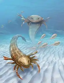 Pentecopterus  is a Eurypterid that patrolled the early Ordovician waters of what is now Decorah