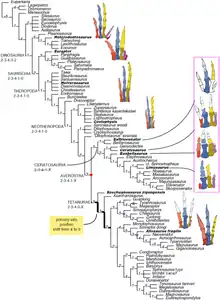 Diagram showing the evolution of the theropod hand