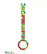 F6:  Secondary structure taken from the Rfam database. Family RF01791