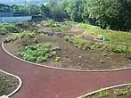 The indigenous plants exhibit: identifying plants found in each Azorean biome