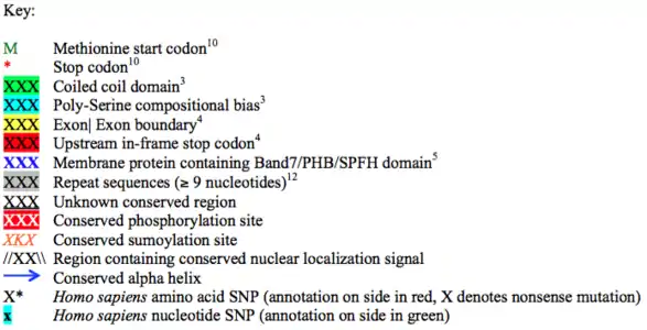 Conceptual translation key