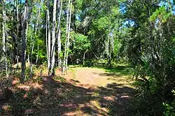 The abandoned Florida East Coast Railway crossing in Maytown.