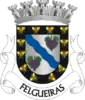 Coat of arms of Felgueiras