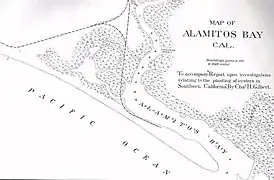 1889 map of Alamitos Bay by Charles Henry Gilbert