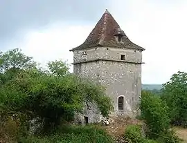 The pigeon loft