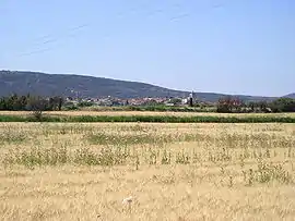 A general view of Fabrègues