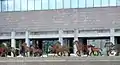 Joe Fafard's sculptural work, Running Horses at the National Gallery of Canada Ottawa, Ontario Canada