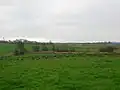 Fairlie woods and Gatehead from Springside