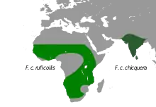 Central, western and southern Africa, India