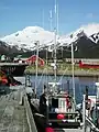 Gillnetters at Peter Pan dock, False Pass, AK.