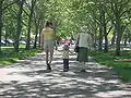 A family walking in Julia Davis Park