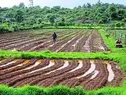 Farmers at work