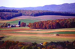 Hilly farmland