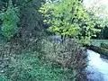 Farnley Beck west of Wood Lane