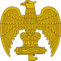 A perched eagle clutching a fasces was a common symbol used on Italian Fascist uniforms.