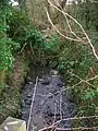 The Fergushill Burn where it joins the Lugton Water.