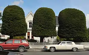 A. Berding House, "Gum Drop Tree House"