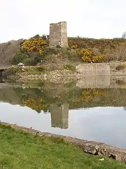 Ferrycarrig Castle on the northern bank of the River Slaney