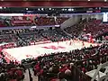 Fertitta Center