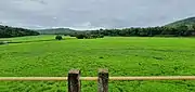 Fields of Verna near Udear Springs