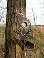 Another crow-shaped, knock-over metal air gun field target. The black painted metal paddle must be hit to make the target fall over, and the target can be reset by pulling the orange cord attached to the face-plate