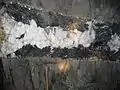 Panasqueira Mine vein - wolframite mineralization