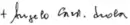 Angelo Scola's signature