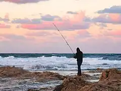 Fisherman,Tunisia