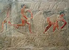 Relief of fishermen collecting their catch from Mereruka's tomb, 6th dynasty