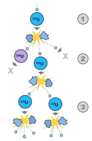 Image 12A schematic nuclear fission chain reaction. 1. A uranium-235 atom absorbs a neutron and fissions into two new atoms (fission fragments), releasing three new neutrons and some binding energy. 2. One of those neutrons is absorbed by an atom of uranium-238 and does not continue the reaction. Another neutron is simply lost and does not collide with anything, also not continuing the reaction. However, the one neutron does collide with an atom of uranium-235, which then fissions and releases two neutrons and some binding energy. 3. Both of those neutrons collide with uranium-235 atoms, each of which fissions and releases between one and three neutrons, which can then continue the reaction. (from Nuclear fission)