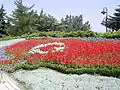 Image 2Flag of Turkey, from flowers