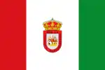 Flag of Algodonales