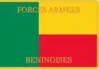 2:3 Flag of the Benin Armed Forces, obverse side