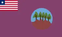 Bomi County in Liberia; every county flag of Liberia contains the Liberian national flag in its canton.