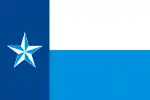 Flag of Dallas County, Texas