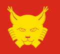 Flag of Hemsedal kommune