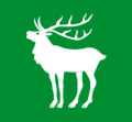 Flag of Hjartdal kommune